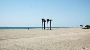 un gruppo di palme su una spiaggia sabbiosa di One-bedroom flat 200m from the beach a Almería