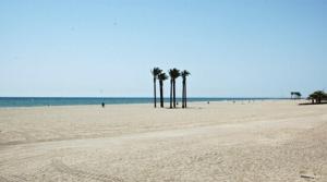 grupa palm na piaszczystej plaży w obiekcie One-bedroom flat 200m from the beach w mieście Almería