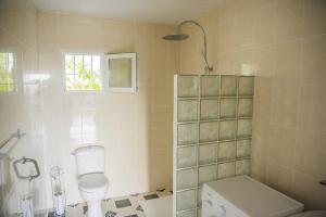 a bathroom with a white toilet and a window at DADI'S LITTLE PARADIS in Sainte-Rose +78 photos
