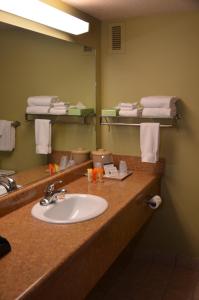 y baño con lavabo, espejo y toallas. en Tawas Bay Beach Resort & Conference Center, en East Tawas