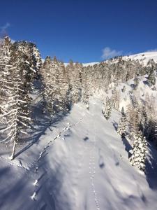 Urige Almhütte Innerkrems v zimě