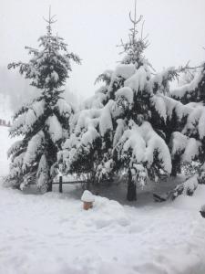 Urige Almhütte Innerkrems v zimě