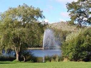 een waterval in het midden van een meer met bomen bij Don Ramon Departamentos Premium in Tandil