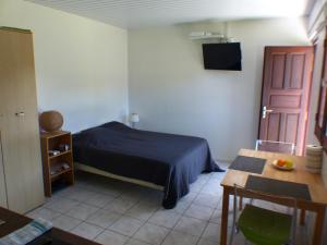 a bedroom with a bed and a table and a tv at Au Petit Canal Fleuri in Rémire-Camp