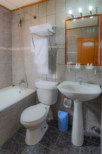 ein Bad mit einem WC und einem Waschbecken in der Unterkunft Hotel Saltos del Paine in Puerto Natales
