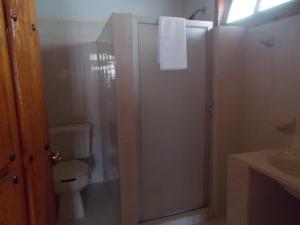 a bathroom with a shower with a toilet and a sink at Las Margaritas Hotel Posada in Tapalpa