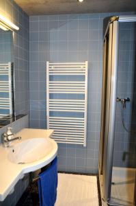 セントにあるsur il muglinの青いタイル張りのバスルーム(シンク、シャワー付)