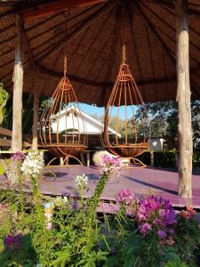 Billede fra billedgalleriet på Odour Pai i Pai + 16 billeder