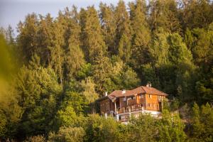 Příroda nedaleko apartmánu