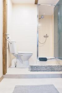 a bathroom with a toilet and a glass shower at Motel Hotelik in Olsztyn