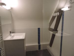 a bathroom with a sink and a shower at Les Pres Verts in Mareuil-sur-Cher