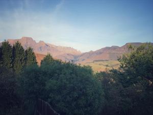 a group of trees with mountains in the background at Rockwood Earth Lodge in Champagne Valley