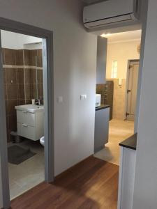 a bathroom with a sink and a toilet in a room at Gardenia Apartman in Esztergom