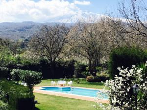 einen Pool in einem Garten mit einem Berg im Hintergrund in der Unterkunft Bed and Breakfast Il Glicine in Piedimonte Etneo