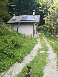 Gambar di galeri bagi Chalet Immerso nel Verde di Strembo