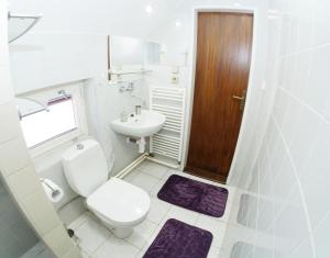 a white bathroom with a toilet and a sink at Penzion V Horách in Kraslice