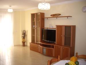 A television and/or entertainment centre at Apartamento Celimar
