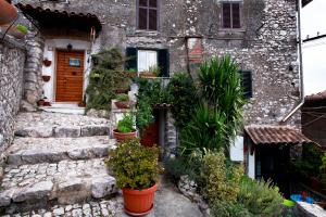 una vecchia casa con piante in vaso davanti di B&B Dell' Artista ad Artena