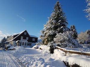 a house and a christmas tree covered in snow at Hotel Zur Schanze in Wieda