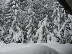 Landhaus Mooslechner during the winter