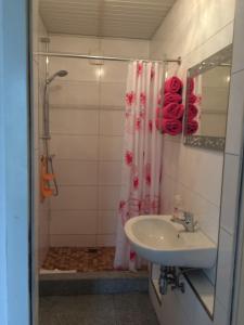 ein Badezimmer mit Waschbecken und Dusche in der Unterkunft Ferienwohnung Rosi Stoppa in Burg