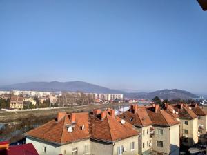 Gallery image of Apartments Domovik Parkaniya, 2A in Mukacheve