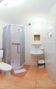 La salle de bains est pourvue d'une douche, de toilettes et d'un lavabo. dans l'établissement Okulski Grand Rozewie, à Jastrzębia Góra