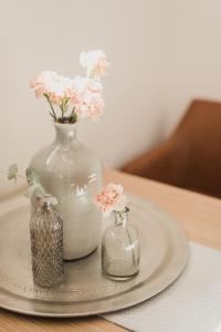 Afbeelding uit fotogalerij van Apartmán Dunajky in Dolní Dunajovice