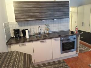 a kitchen with a sink and a stove at Lunitz 19 in Görlitz