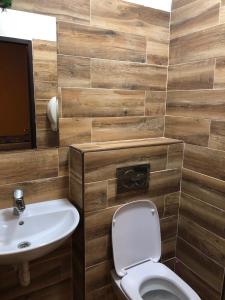 a bathroom with a toilet and a sink at Hotel V Pivovaře Davle in Davle