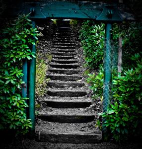 Jardí fora de The Glendalough Hotel