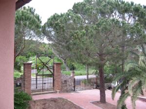 a gate with a tree in front of a house at La Steccaia in Riparbella