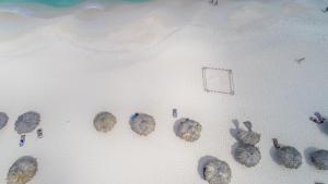 Bilde i galleriet til MVC Eagle Beach i Palm-Eagle Beach