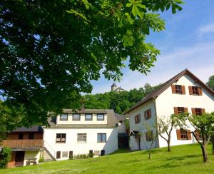 a large white house on a hill with trees at Ferienwohnungen am Burgberg in Lichtenberg