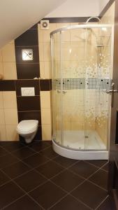 a bathroom with a shower and a toilet at Apartamenty Daisy in Goczałkowice-Zdrój