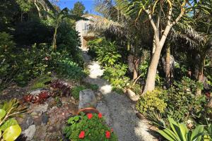 Zahrada ubytování La Maisonette - Stay Waiheke