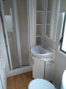 a bathroom with a sink and a shower and a toilet at Newquay View Hideaway in Newquay