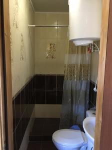 ボロフタにあるГОСТИННИЙ ДІМ ЛЕЛИЧのバスルーム(トイレ、洗面台付)