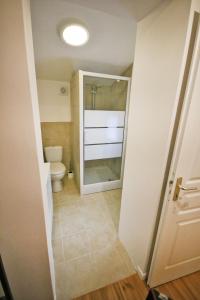 a bathroom with a toilet and a large mirror at Cottage at 7 in Sainte-Foy-la-Grande