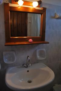 a sink in a bathroom with a mirror and a flower at Rizoma Guesthouse in Mikro Chorio