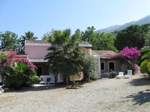 a house with a palm tree in front of it at Villa Eoliana in Porto San Giorgio
