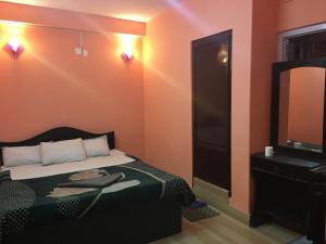 una camera da letto con un letto e uno specchio di Pashupati Darshan Hotel a Kathmandu