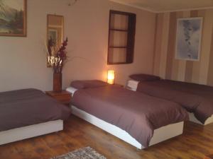 Un pat sau paturi într-o cameră la Mikulas Guest House