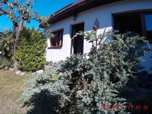 Zahrada ubytování Mikulas Guest House
