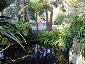 a pond in a garden with palm trees and plants at Family Secrets Santo André in Santa Maria Da Feira