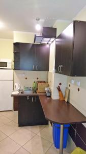 Kjøkken eller kjøkkenkrok på Leniwy Motyl
