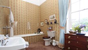 łazienka z toaletą, wanną i umywalką w obiekcie Ballydugan Country House w mieście Downpatrick
