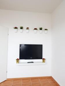 TV a/nebo společenská místnost v ubytování Apartman Lena