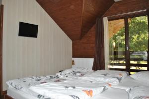grupa czterech łóżek w pokoju z oknem w obiekcie Pension Terra Nova w mieście Brezoi