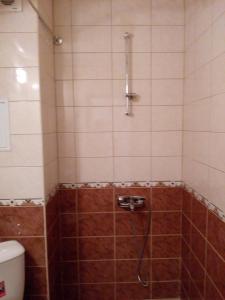 Un baño con ducha y WC. en Studio Zlatina, en Pomorie